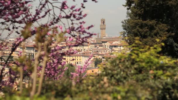 Panorama urbano di Firenze — Video Stock