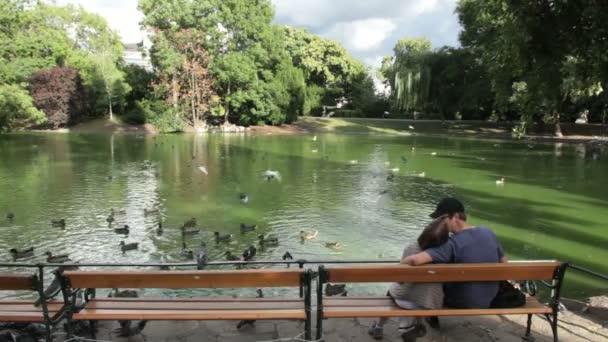 カップルは市立公園のベンチに座っているとキス — ストック動画