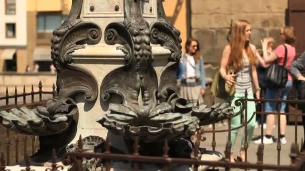 Estatua de Cellini, Florencia — Vídeo de stock