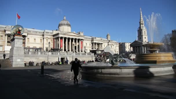Trafalgar Meydanı — Stok video