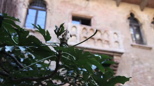 The balcony of Juliet at Villa Capuleti — Stock Video