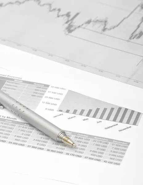 Financial Statements — Stock Photo, Image