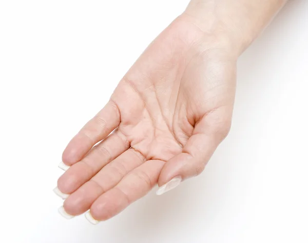 Kadın açık Palm