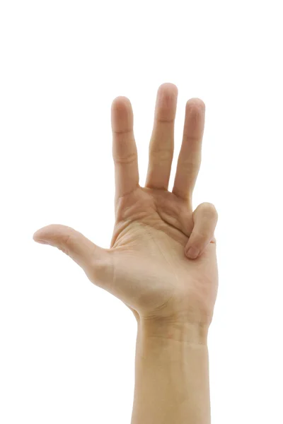 Dört parmak. — Stok fotoğraf