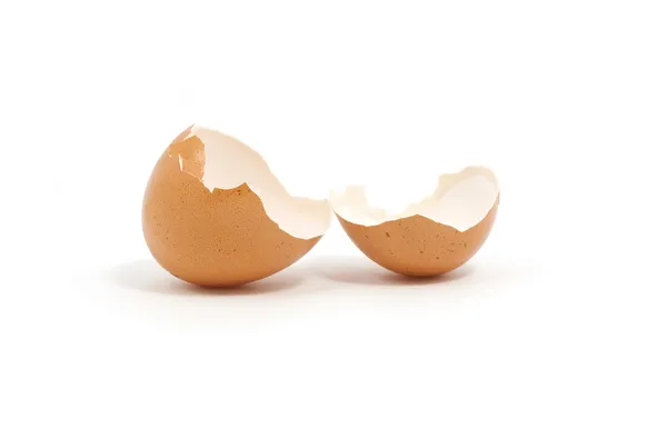 Something hatched from eggs — Stock Photo, Image