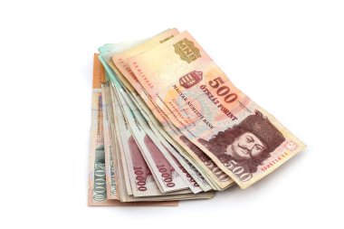 Macar forint banknotlar
