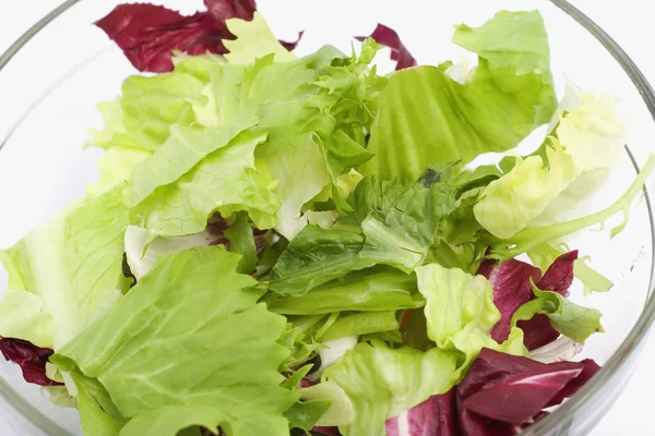 Green salad — Stock Photo, Image