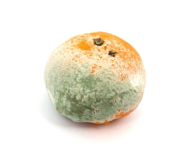 Mouldy Fruit — Stock Photo, Image