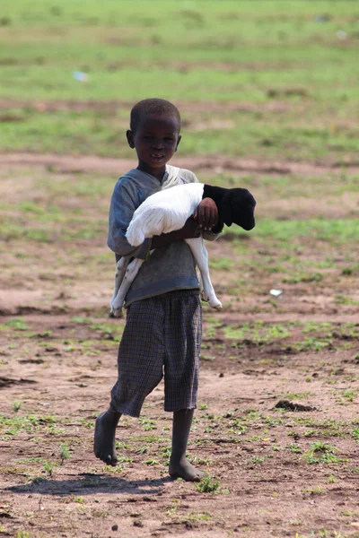 Masai kind met een kleine schapen — Stockfoto