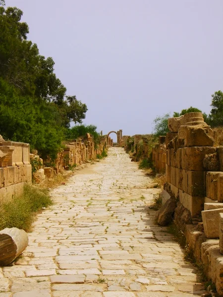 Leptis のマグナ, リビア - ローマ時代の道路の遺跡 ロイヤリティフリーのストック写真