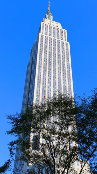 View of the Empire State Building - New York — Stock Photo, Image