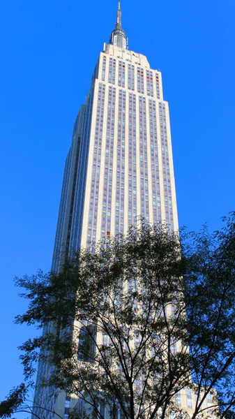 Uitzicht op het empire state building - new york — Stockfoto