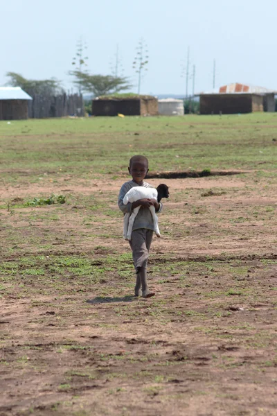 Masai kind met een kleine schapen — Stockfoto
