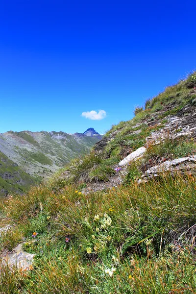 夏の山 — ストック写真