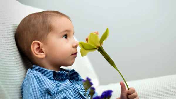 Niño pequeño con una flor —  Fotos de Stock