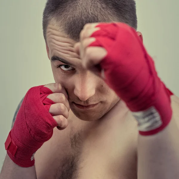 Boxer. — Fotografia de Stock