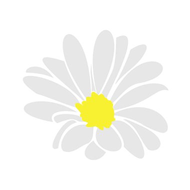 Papatya çiçeği, çiçekli elementler el çizimi.