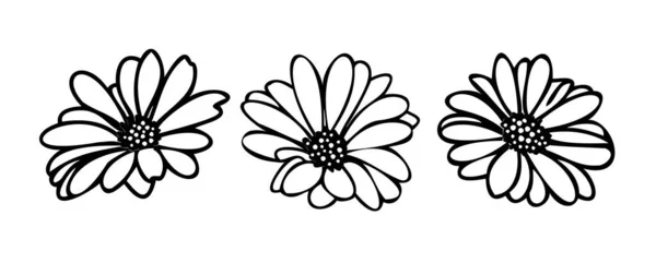 Daisy fsummer bloem, bloemenelementen hand getrokken — Stockvector