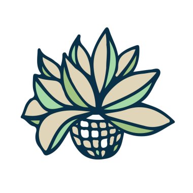 Kaktüs bitkisi izole, el çizimi renkler