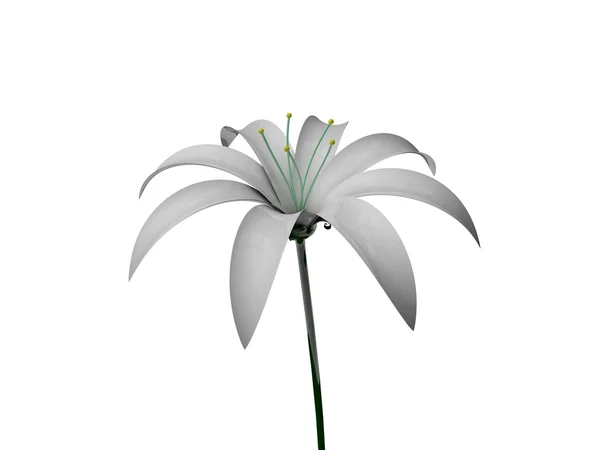 3d flower — Stock Photo, Image