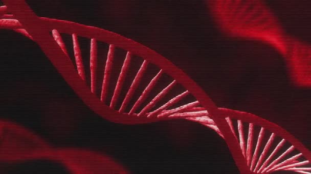 3D动画的抽象Dna的黑暗背景与无缝循环 科学动画遗传信息的概念设计 全息图红发光旋转双螺旋Dna黑色背景 — 图库视频影像