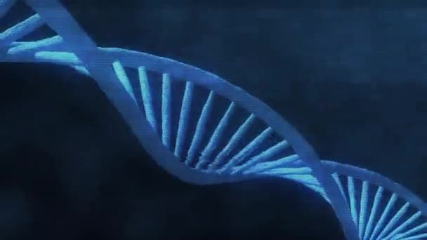 3D动画的抽象Dna在黑暗背景组装 科学动画遗传信息的概念设计 全息图蓝色发光旋转Dna双螺旋黑色背景 — 图库视频影像