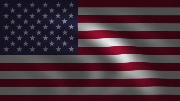 Unites States America Flag Waving Looping Digital Rendering Using Official — Stock Video