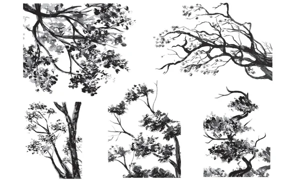 Fák - húzott akvarell Jogdíjmentes Stock Illusztrációk