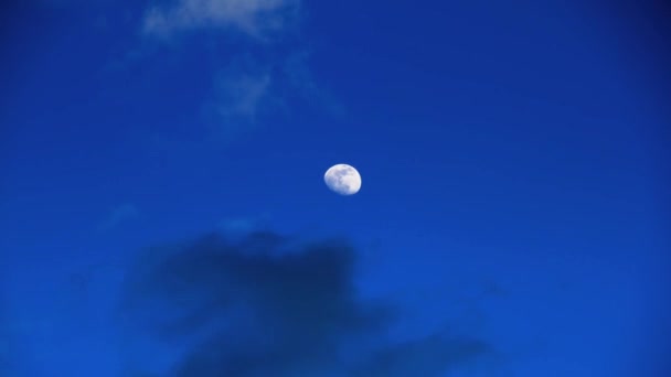 Mond am Himmel — Stockvideo