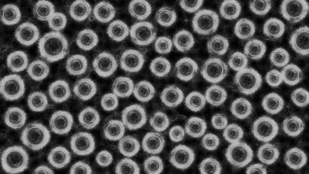 Microorganismos vistos con un microscopio — Vídeo de stock