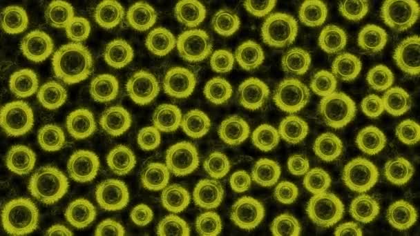 顕微鏡で見た微生物 — ストック動画