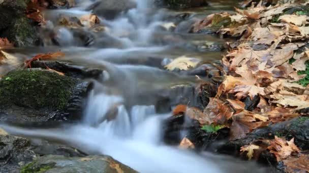 时间流逝的溪水 — 图库视频影像