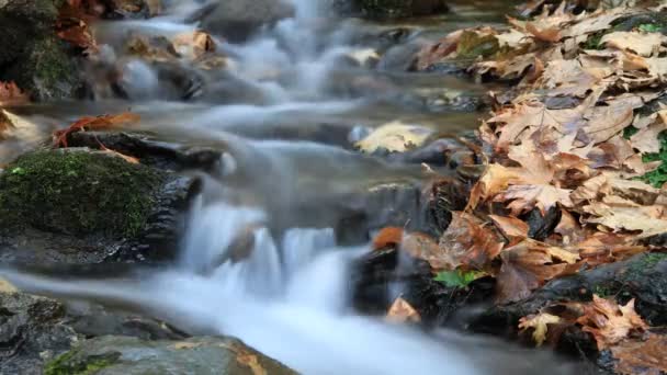 Temps écoulé eau du ruisseau 