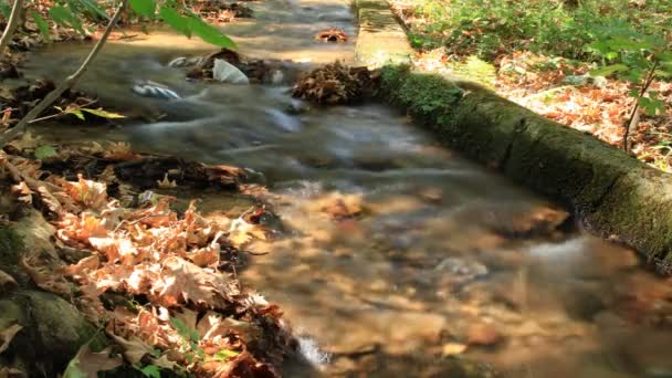 Час Лапсе течія води — стокове відео