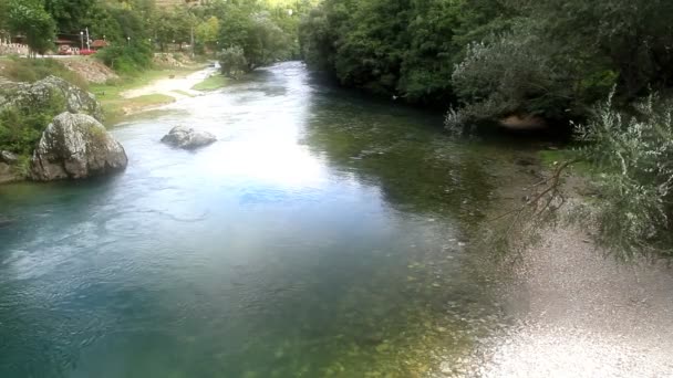 Sourire rivière naturelle — Video