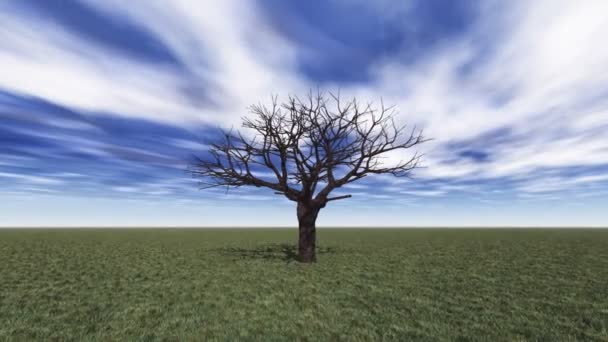 Trädet växer i landskapet — Stockvideo