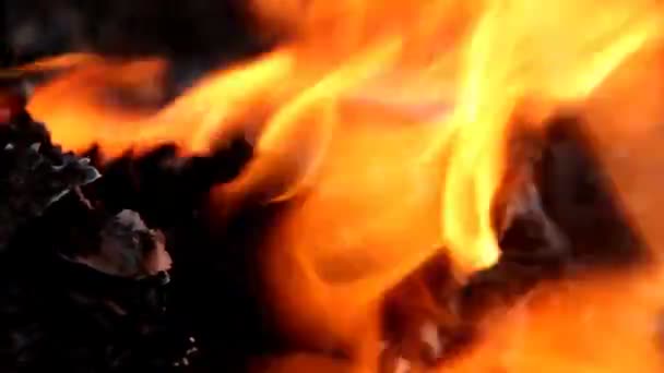 Makro miejsce pożaru — Wideo stockowe