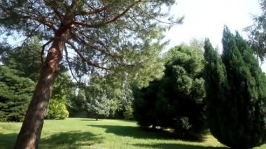 doğal yeşil park