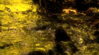 doğal akışı güzelleştirmek