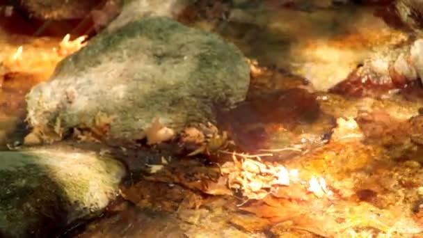 embellir le ruisseau naturel 
