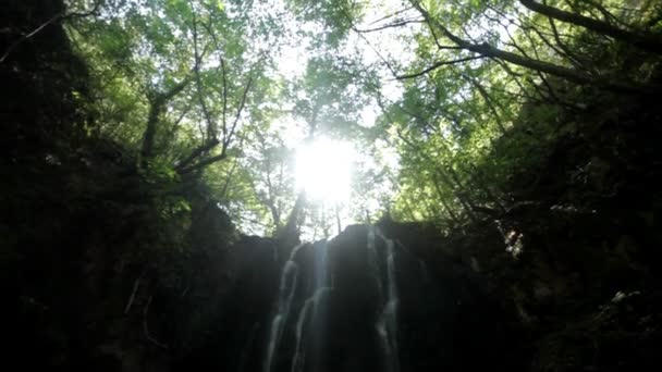 Cascada en el bosque — Vídeo de stock