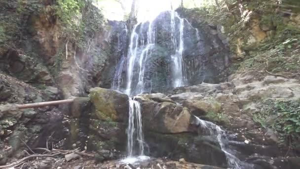 Waterval in bos — Stockvideo