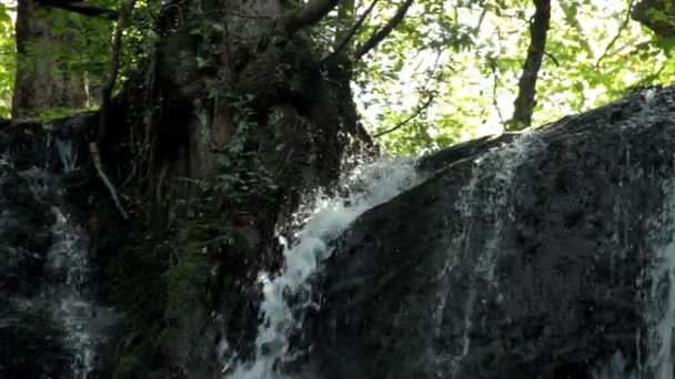 Vattenfall i skogen — Stockvideo