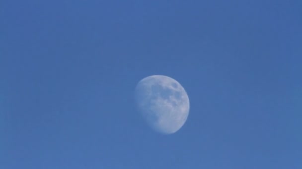 Pianeta luna sul cielo blu — Video Stock