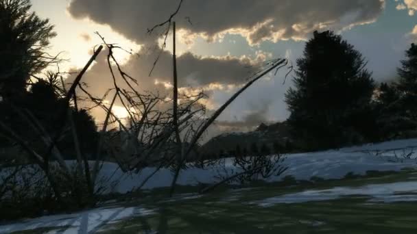 Esqui de inverno na montanha — Vídeo de Stock