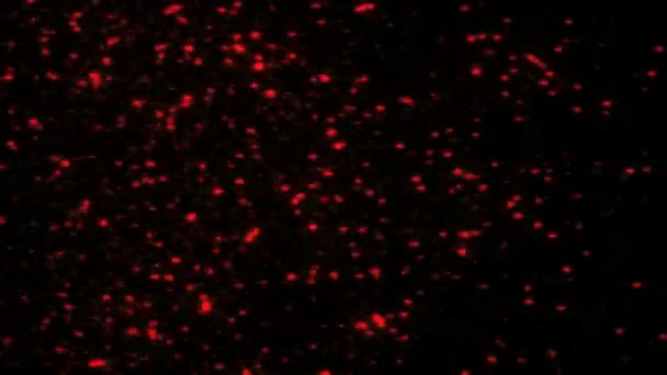 particule voler comme des étoiles 