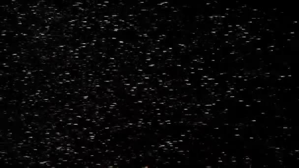 Particle fly like stars — Stock Video