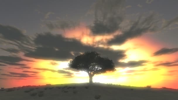 coucher de soleil arbre à la colline laps de temps 