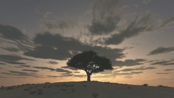 Hill zaman atlamalı, günbatımı ağaç — Stok video