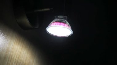 lite ışığı böcekler uçmak
